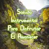 Relajación Medicinal - Sonido Instrumental para Disfrutar el Amanecer